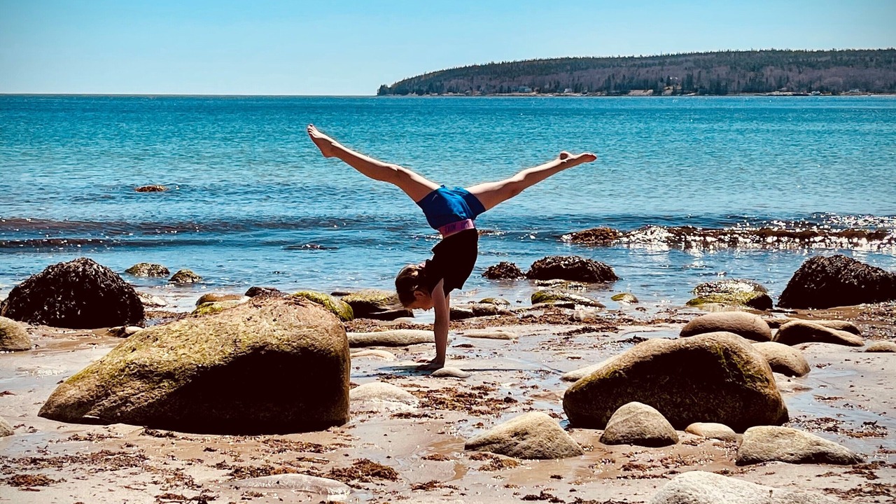 Photo of Others in Mill Cove