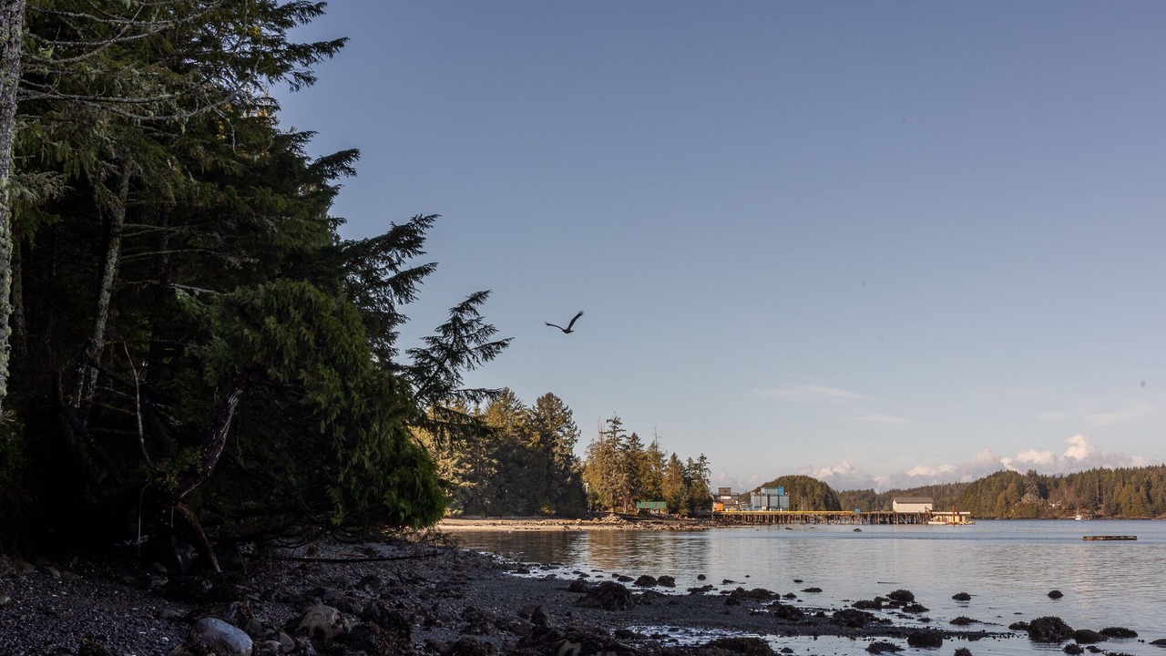 Photo of Others in Ucluelet