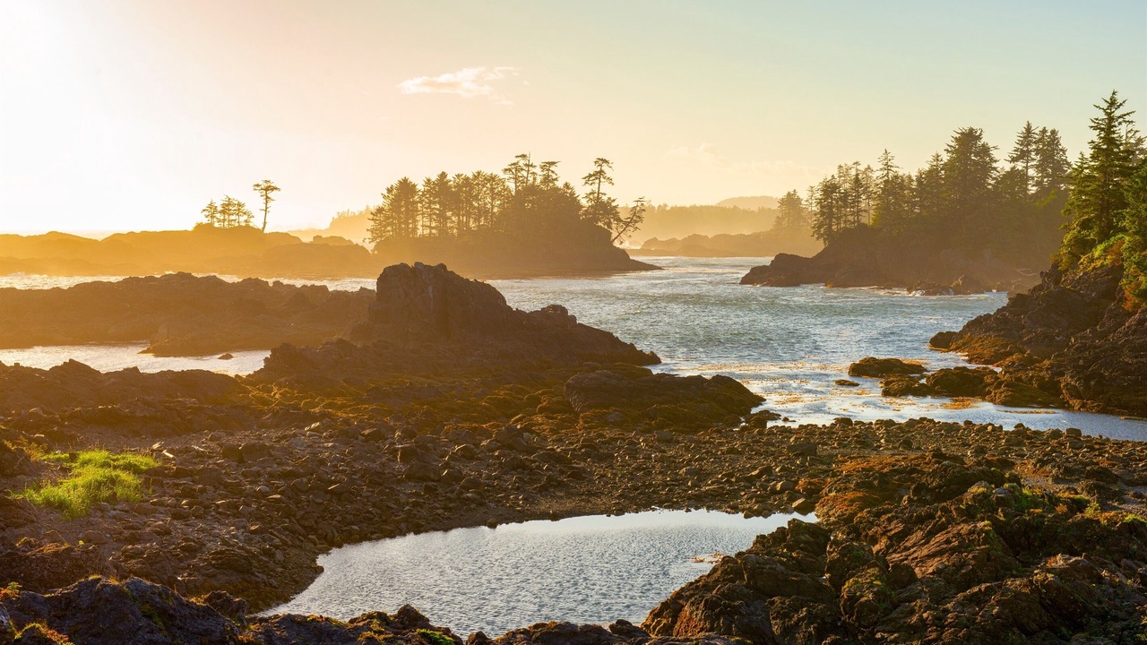 Photo of Others in Ucluelet