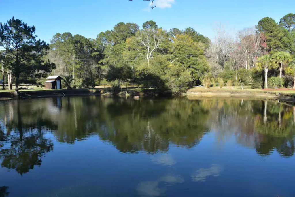 Photo of Outdoor in Johns Island
