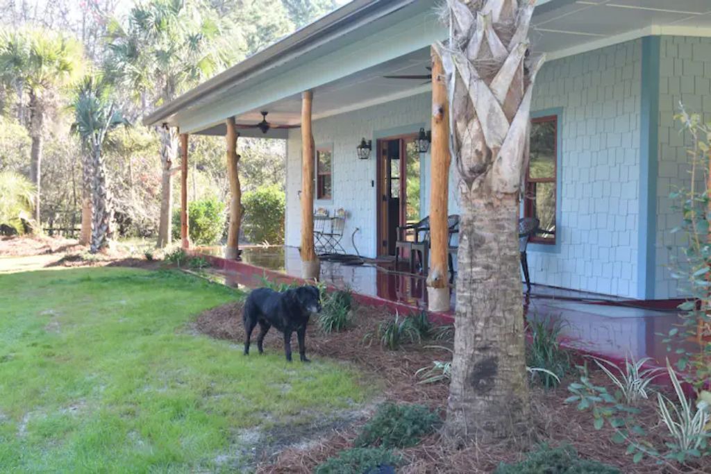 Photo of Outdoor in Johns Island
