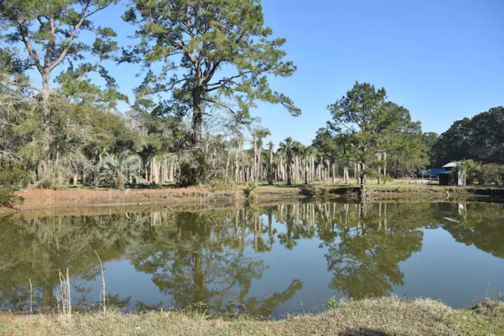Photo of Outdoor in Johns Island