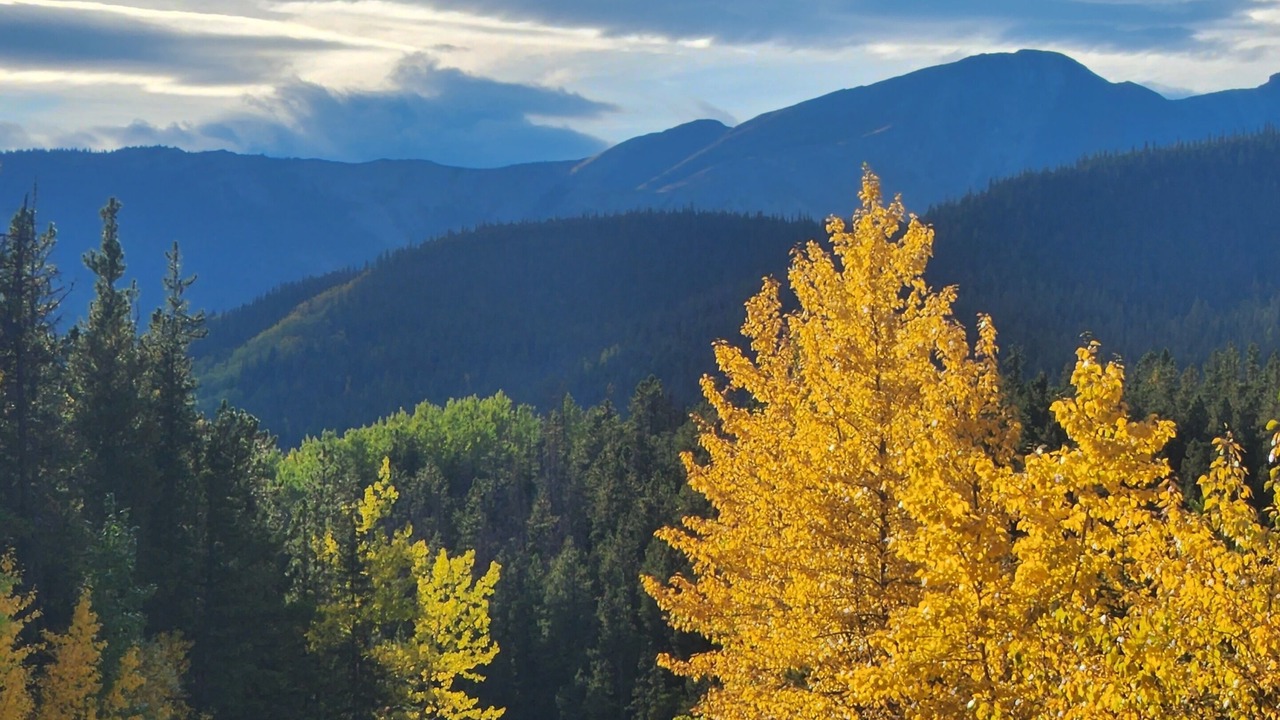 Photo of Others in Jasper