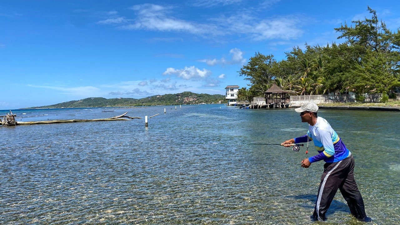 Photo of Others in Roatan