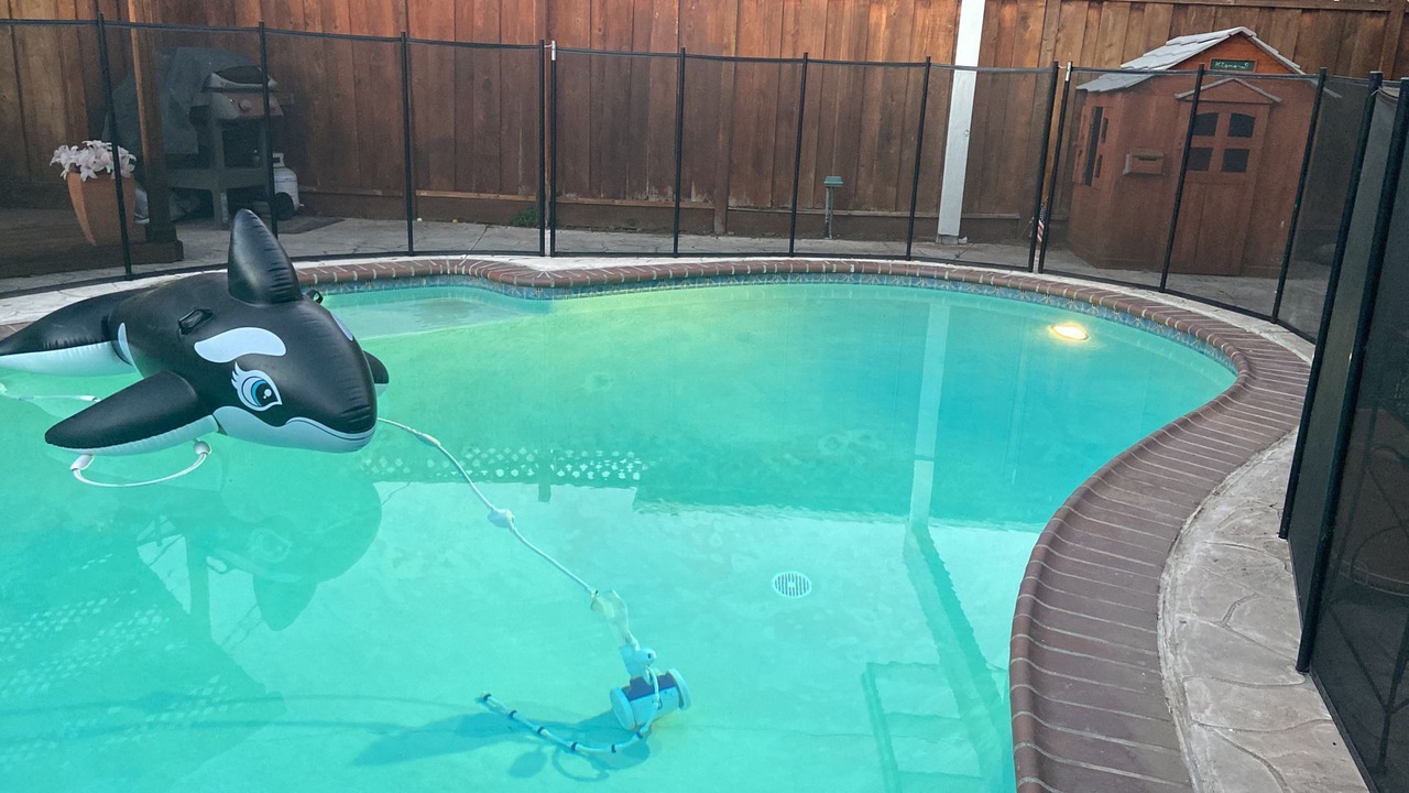 Photo of Outdoor in Willow Glen
