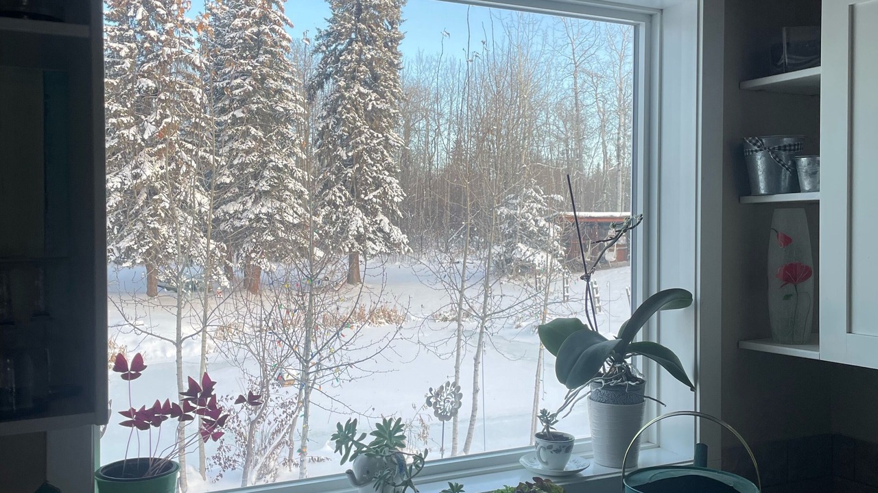 Photo of Others in Parkland County