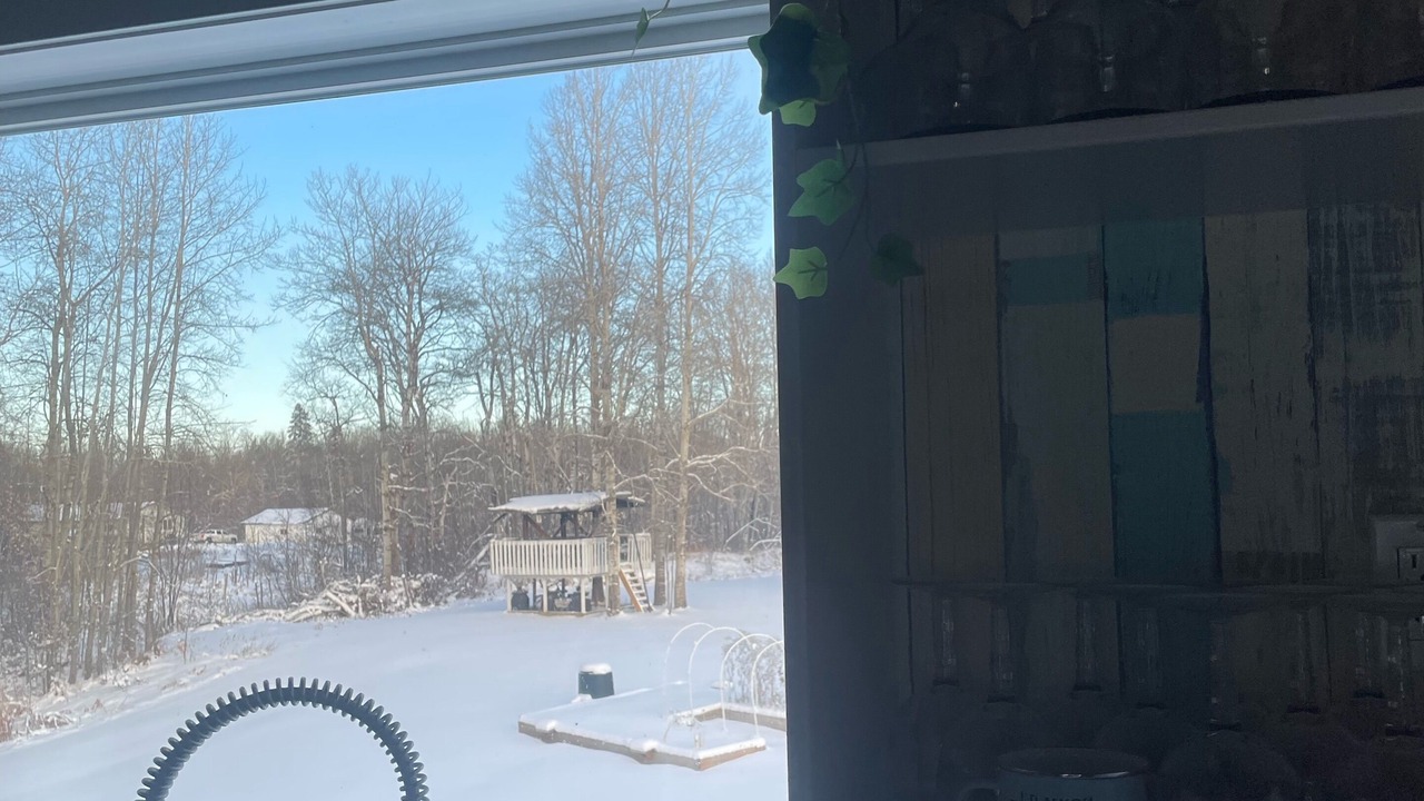 Photo of Others in Parkland County