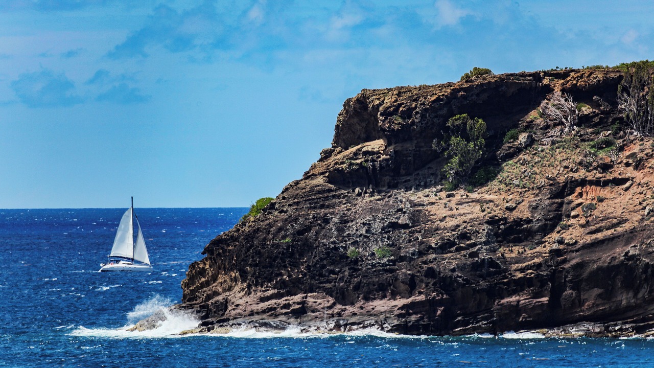 Photo of Others in Freemans Bay