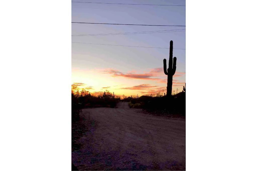 Photo of Others in Apache Junction