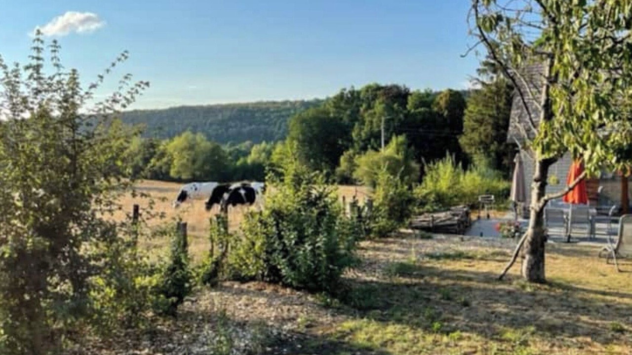 Photo of Outdoor in Olloy-sur-Viroin