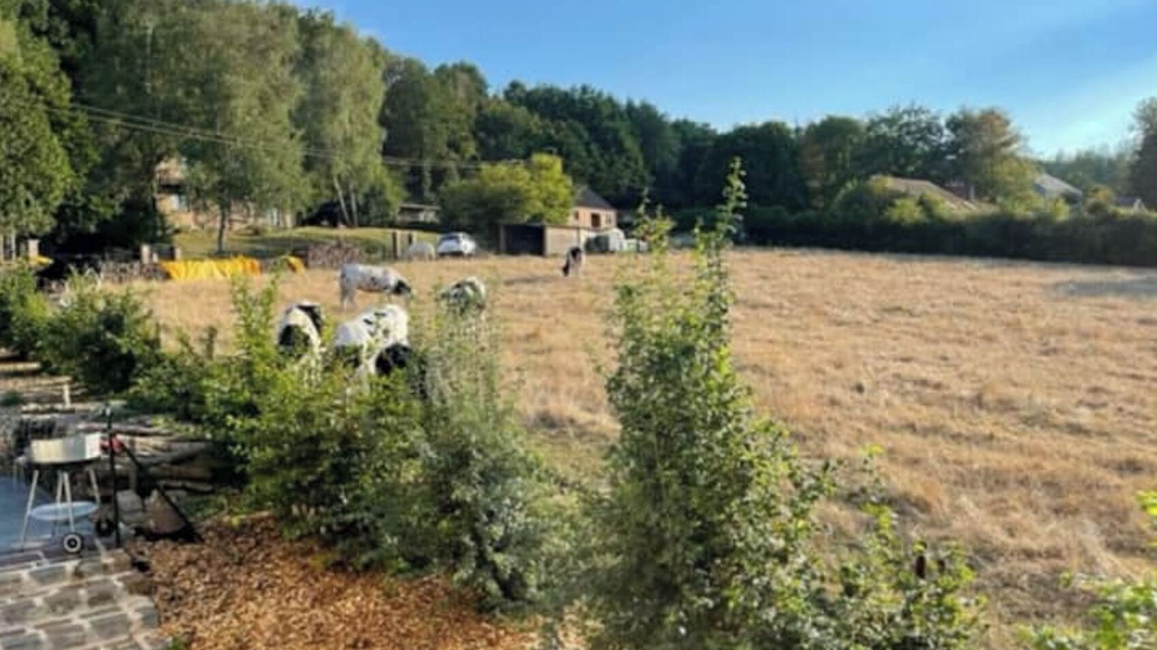 Photo of Outdoor in Olloy-sur-Viroin