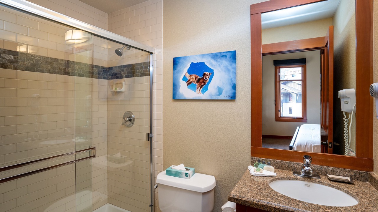 Photo of Bathroom in Olympic Valley