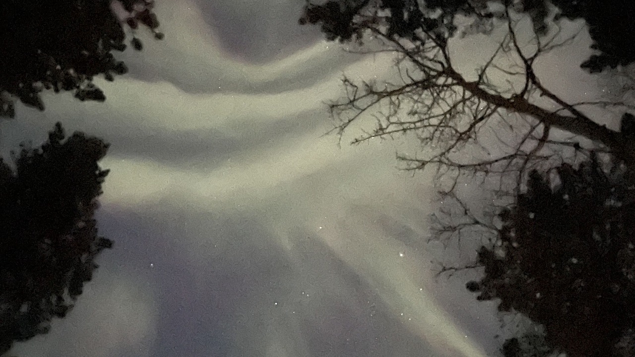 Photo of Others in Whitehorse