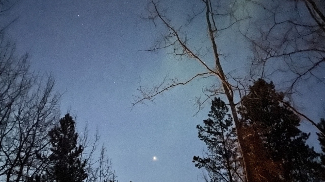 Photo of Outdoor in Whitehorse