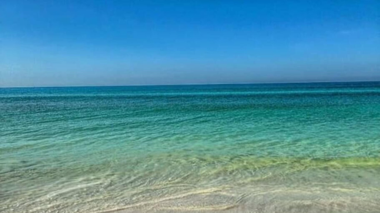 Photo of Others in West Bradenton