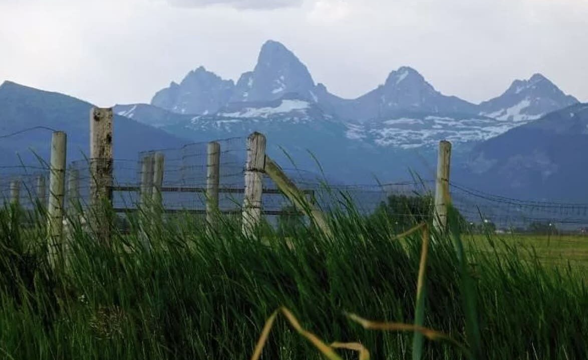 Photo of Others in Leigh Creek Estates