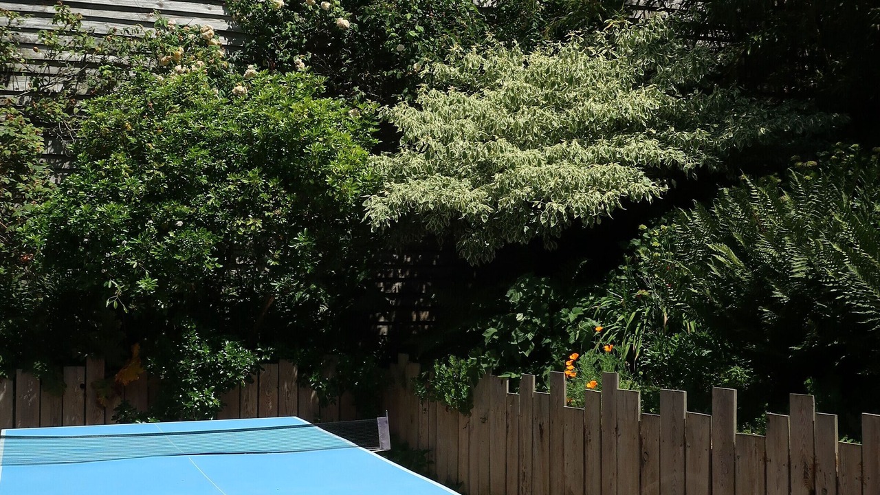 Photo of Outdoor in La Tardiere