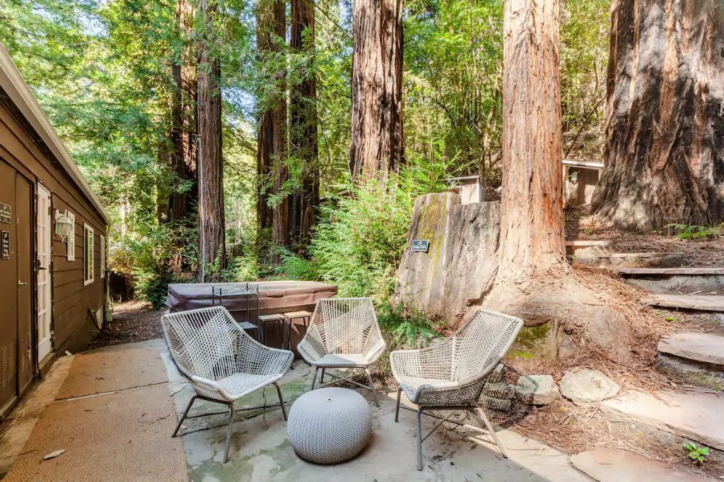 Photo of Outdoor in Guerneville