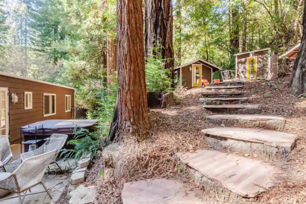 Photo of Outdoor in Guerneville