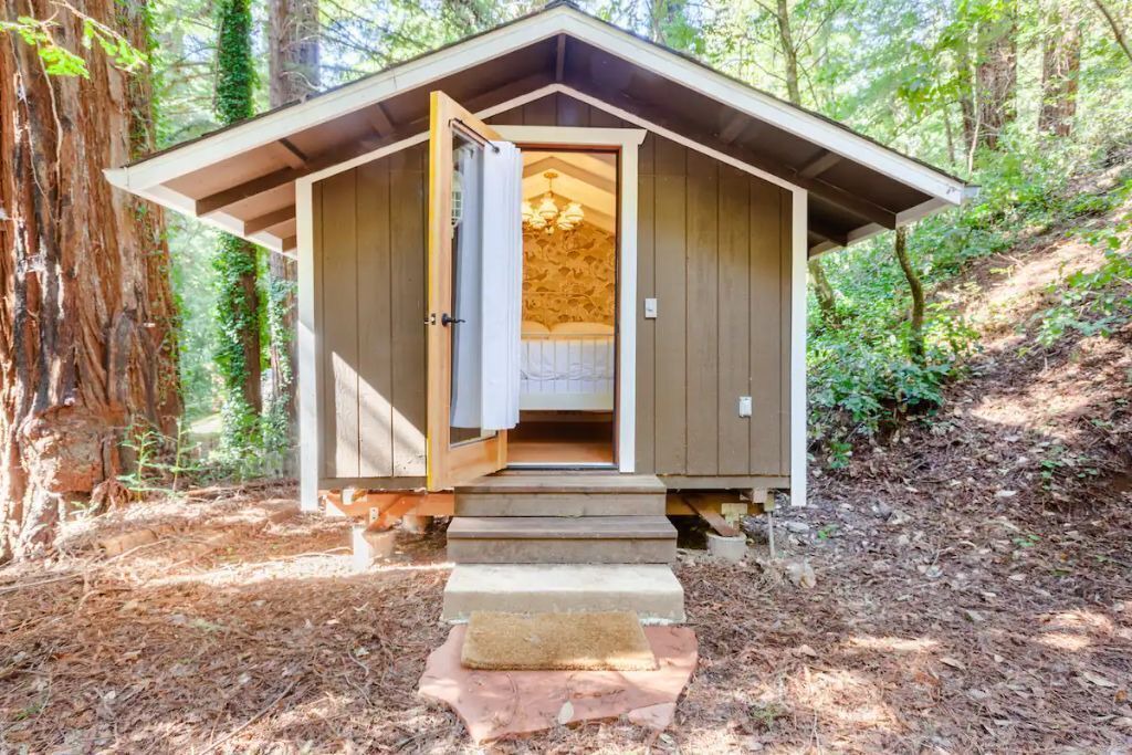 Photo of Outdoor in Guerneville