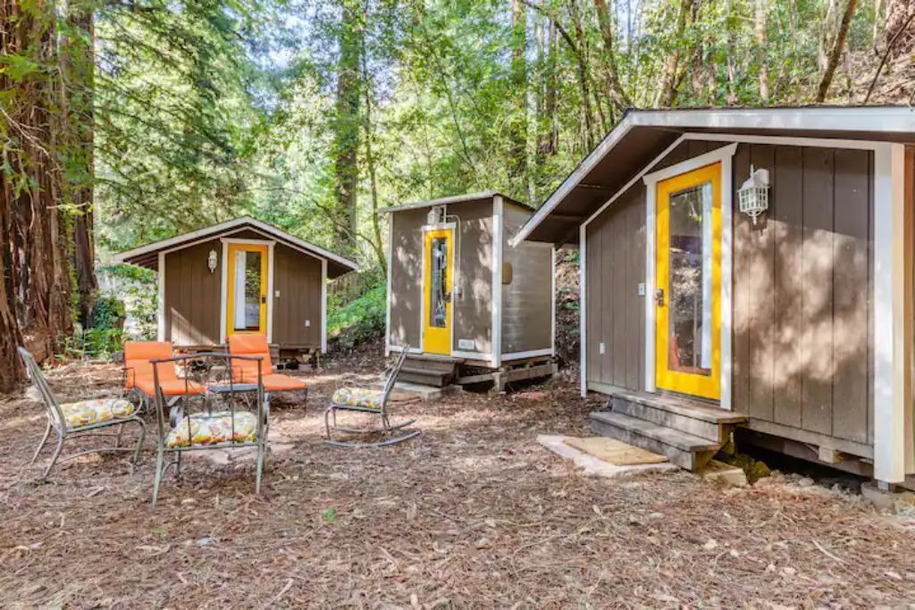 Photo of Outdoor in Guerneville