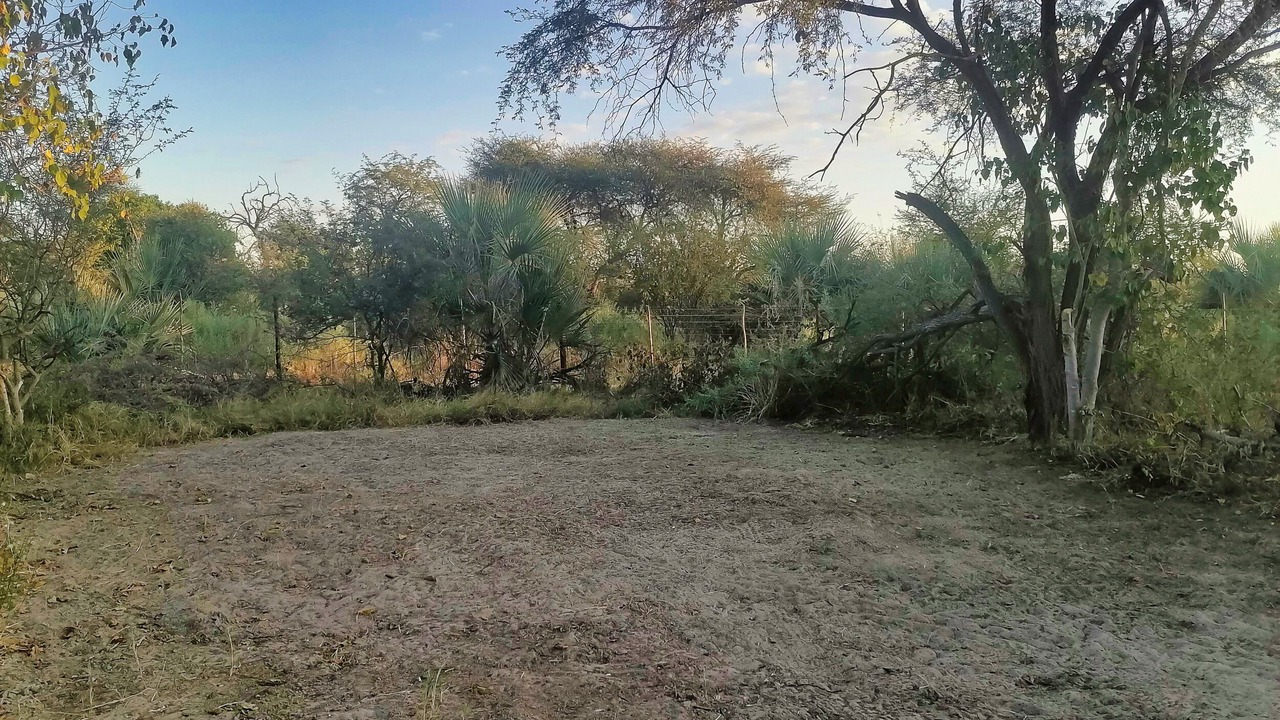 Photo of Outdoor in Maun
