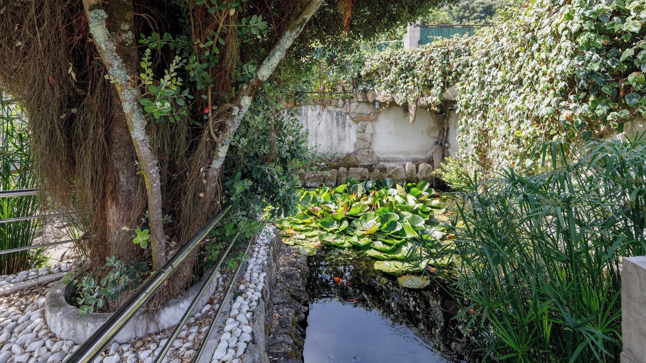 Photo of Outdoor in Bueu