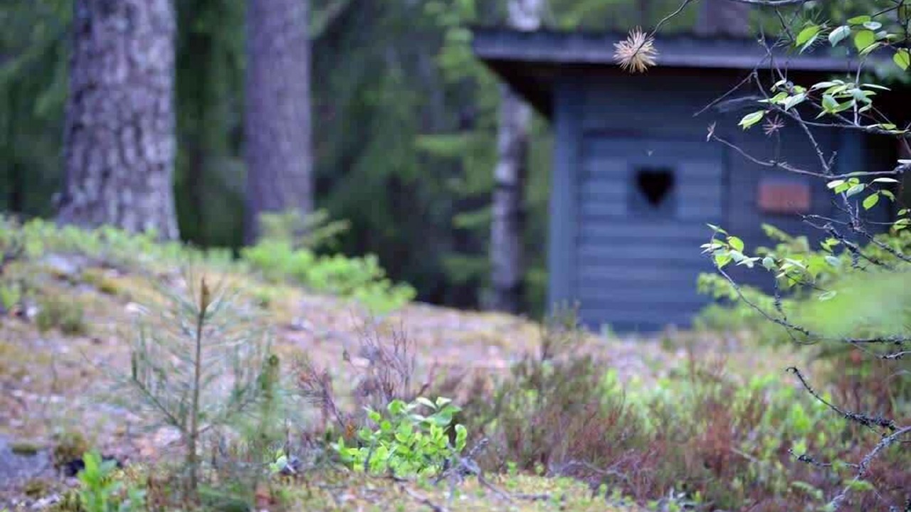 Photo of Outdoor in Orivesi