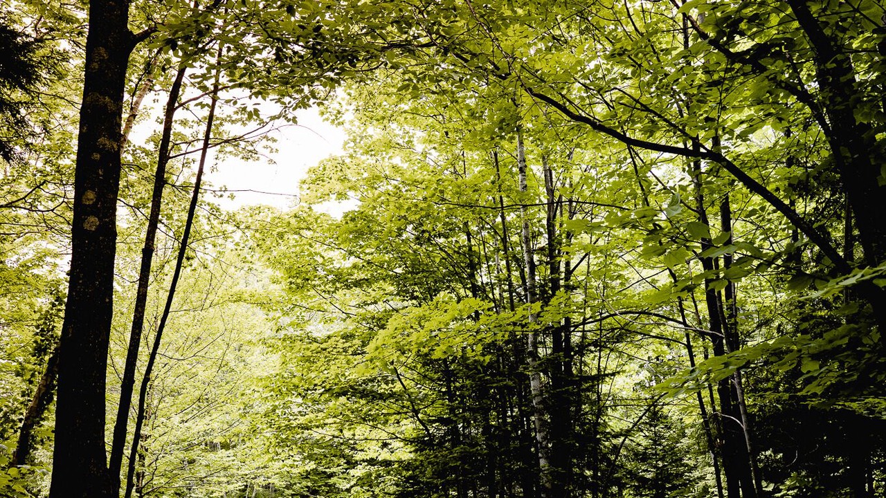 Photo of Outdoor in Potton
