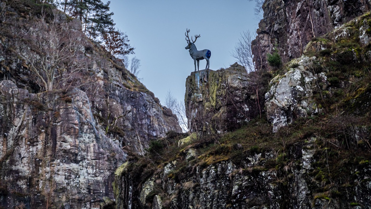 Photo of Others in Hinterzarten