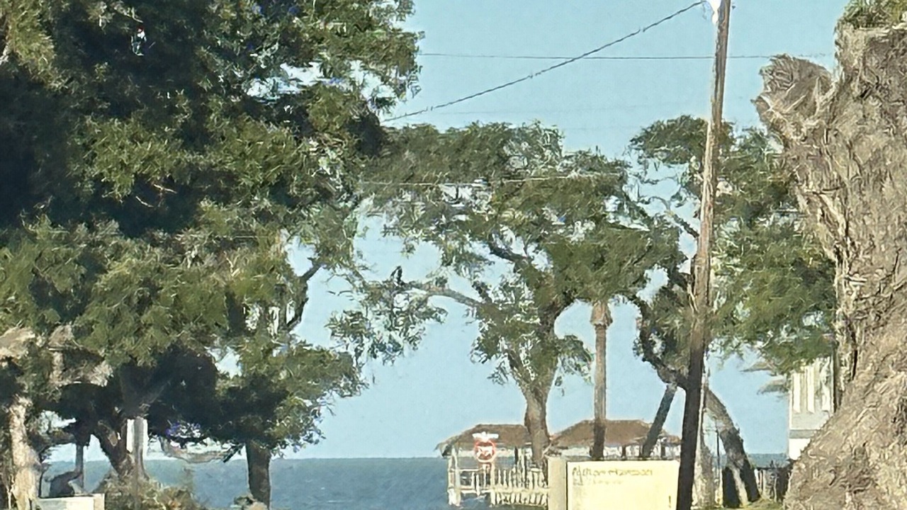 Photo of Others in Fulton