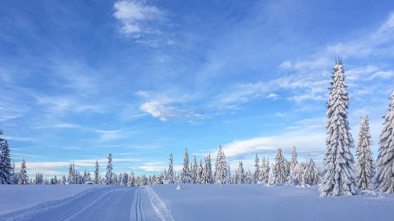 Photo of Others in Lillehammer