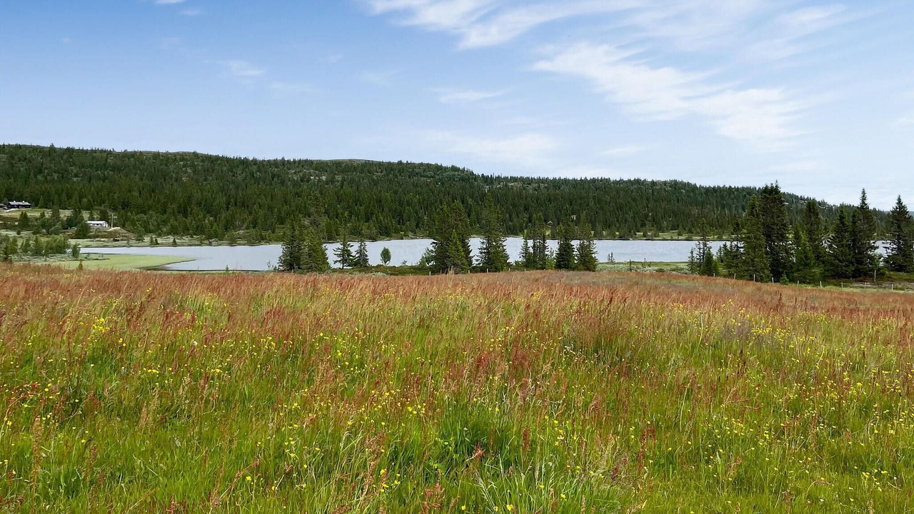 Photo of Others in Nord-Aurdal