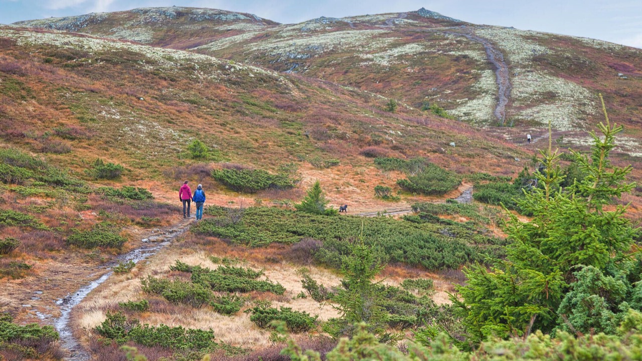 Photo of Others in Nord-Aurdal