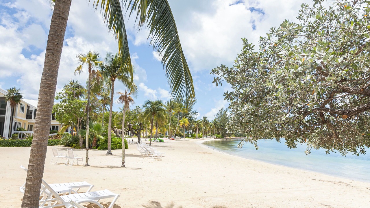 Photo of Others in Rum Point