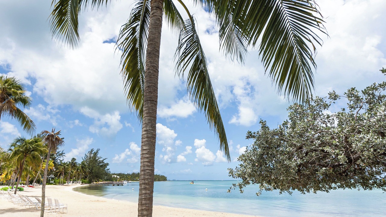 Photo of Others in Rum Point