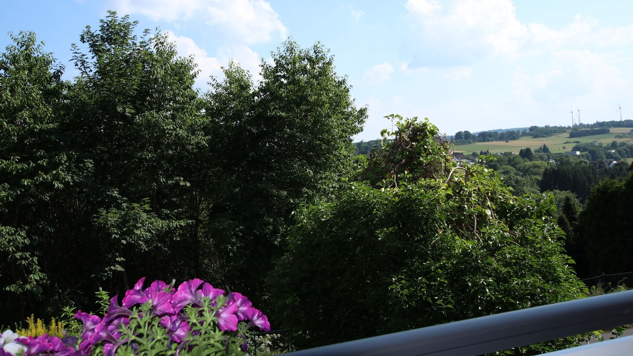 Photo of Outdoor in Driedorf