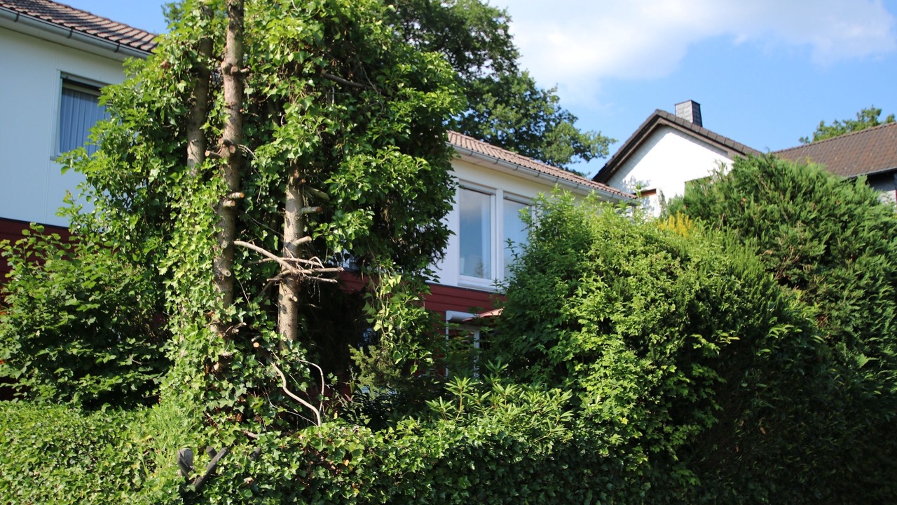 Photo of Outdoor in Driedorf