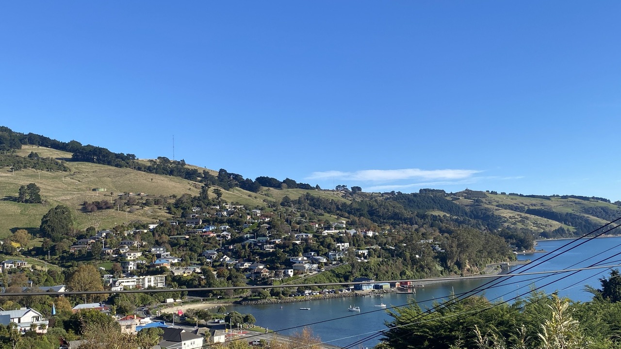 Photo of Others in Dunedin