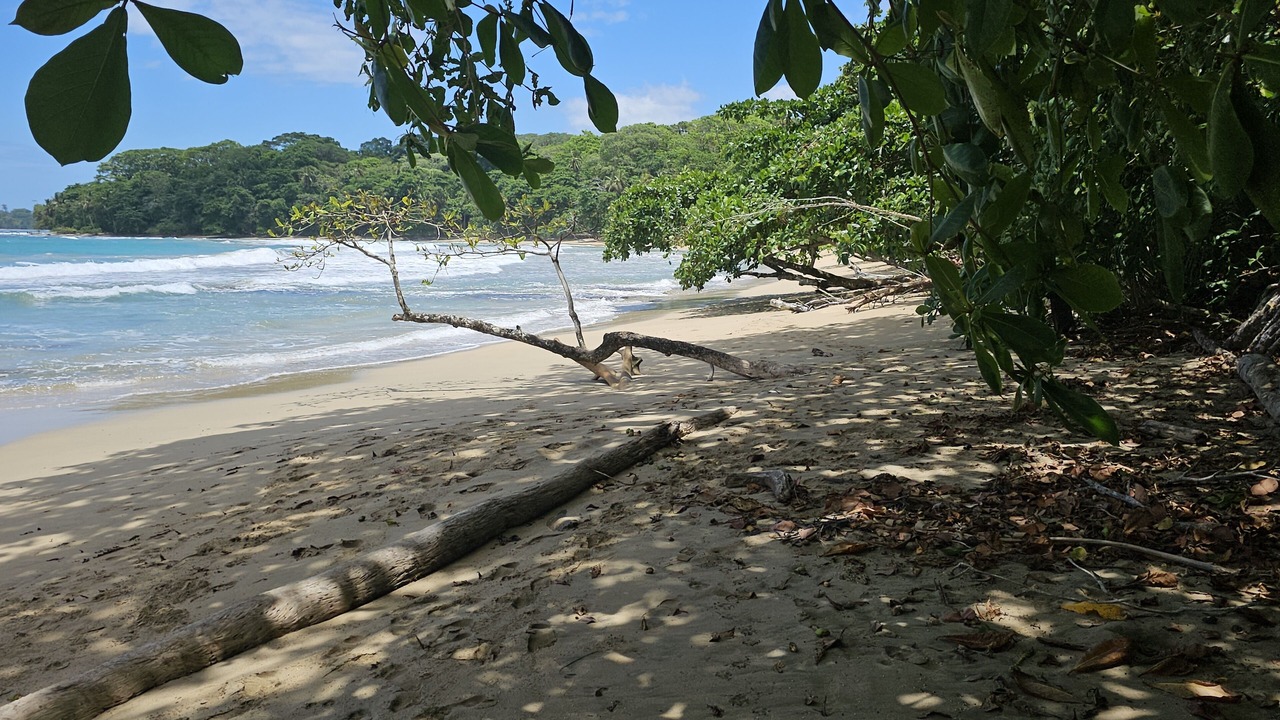 Photo of Others in Chiguata