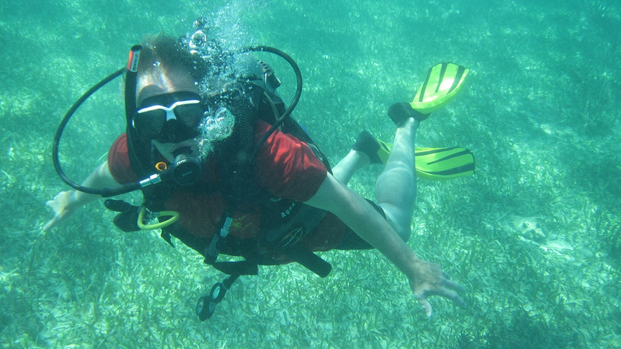 Photo of Others in Palmetto Bay