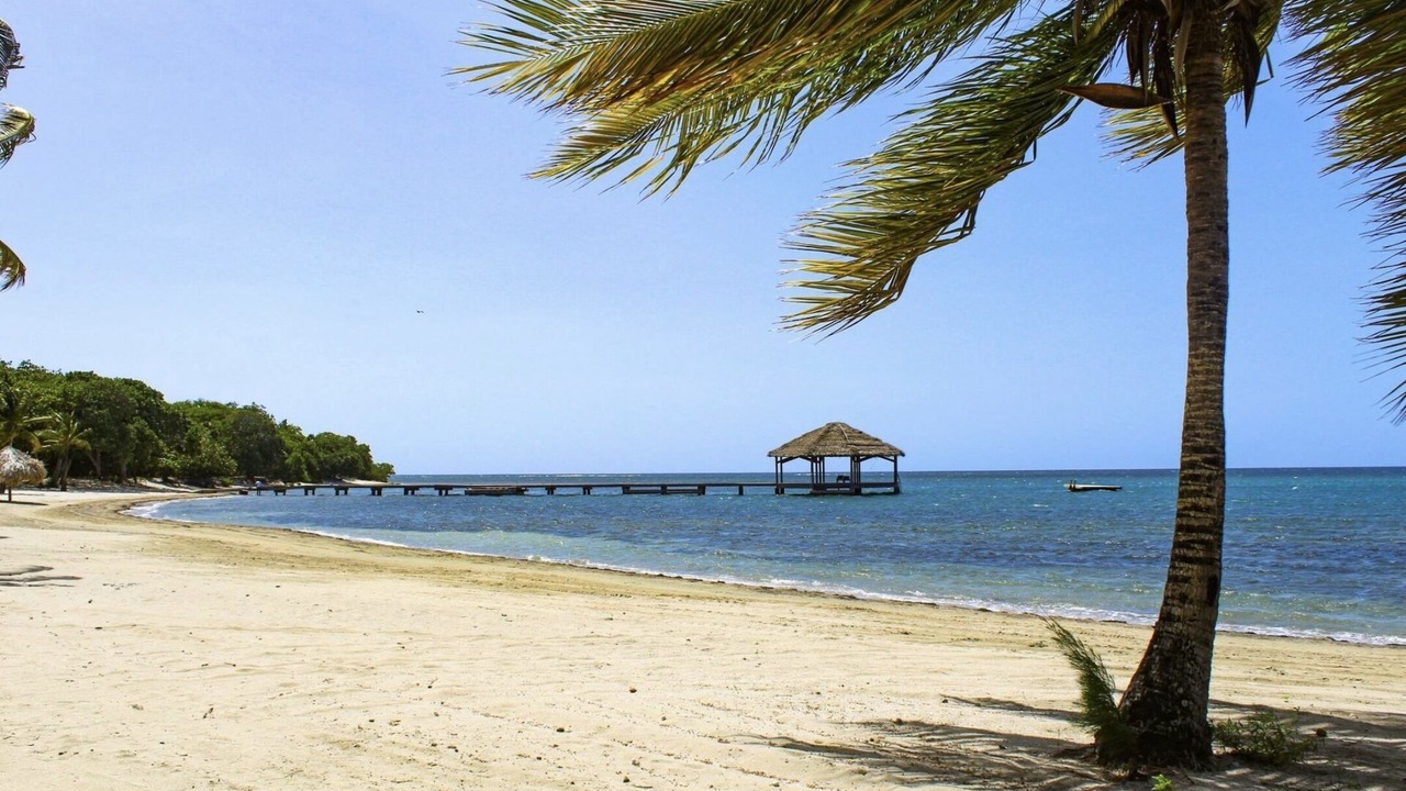 Photo of Others in Palmetto Bay