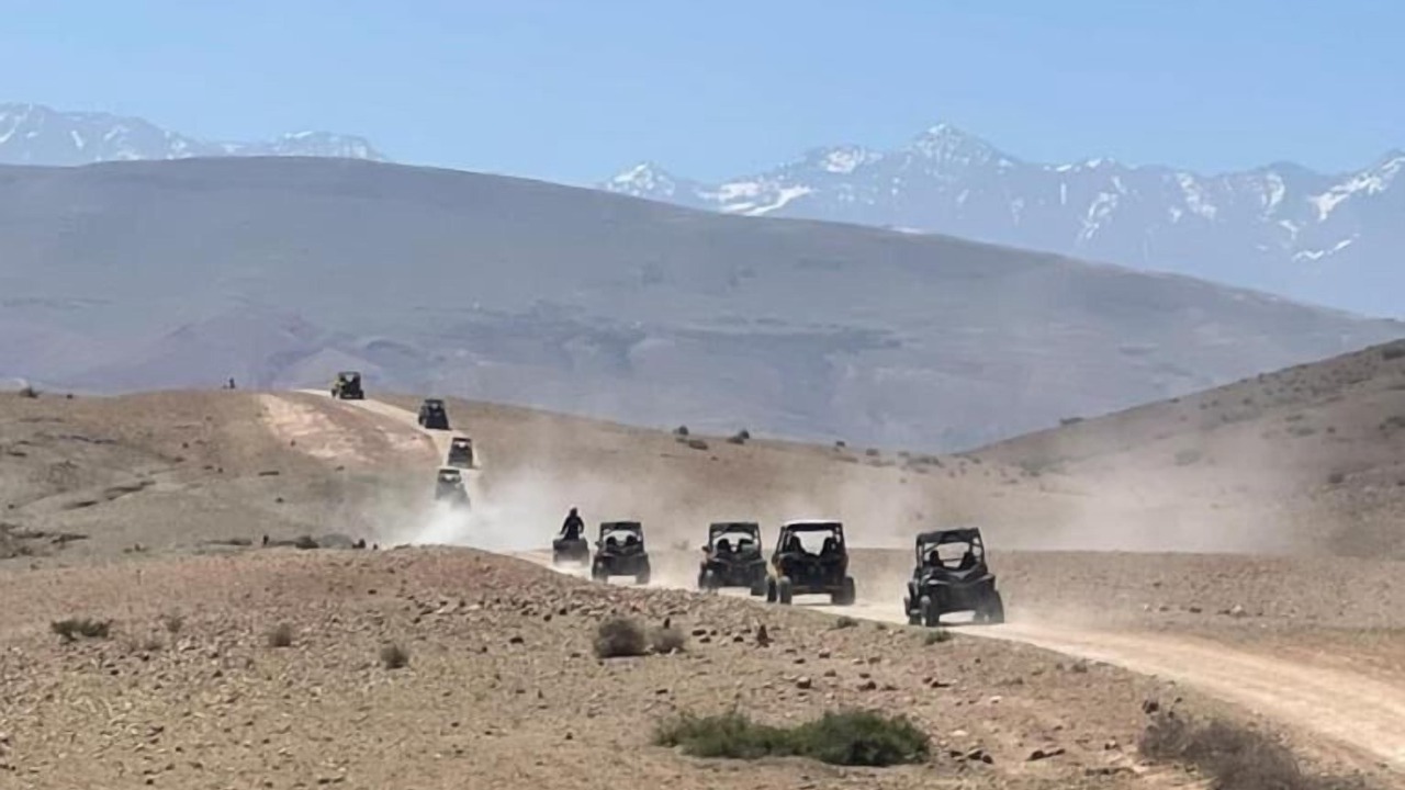 Photo of Others in Sidi Abdallah Ghiat