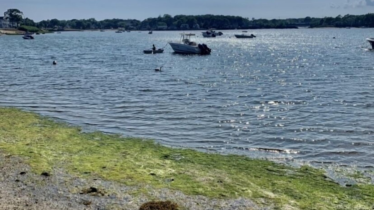 Photo of Others in Buzzards Bay