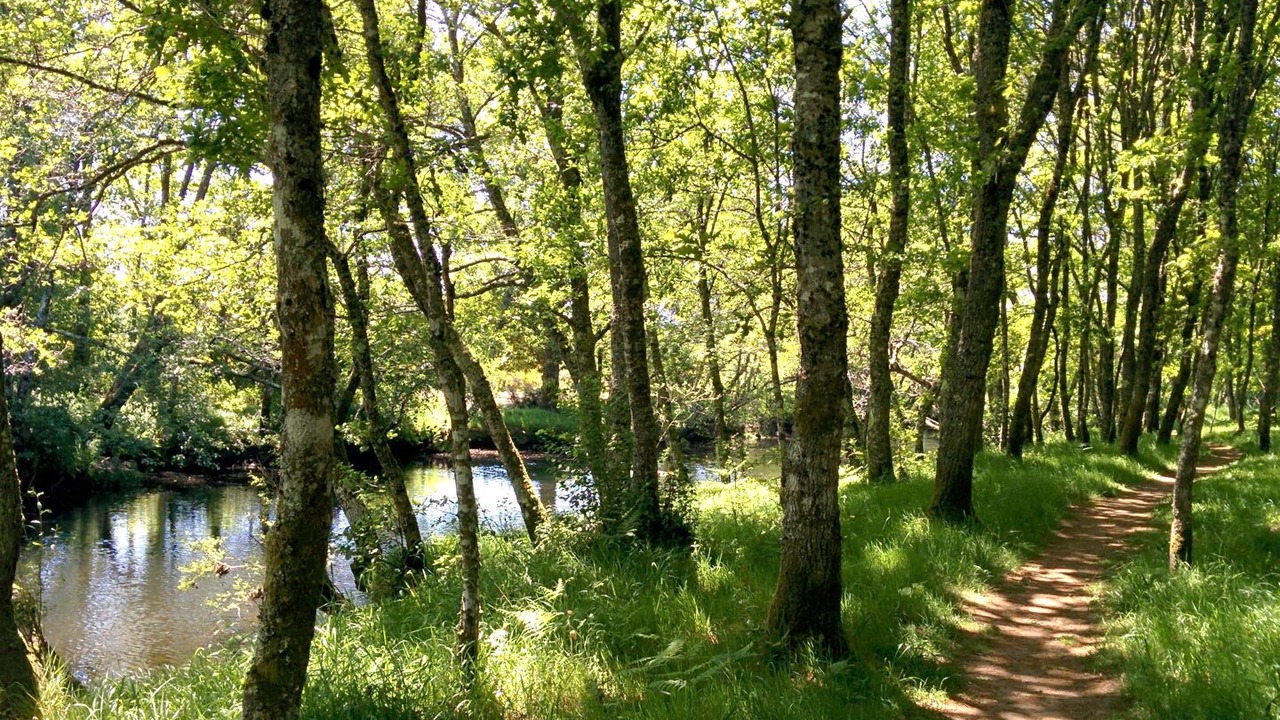 Photo of Others in Lagostelle