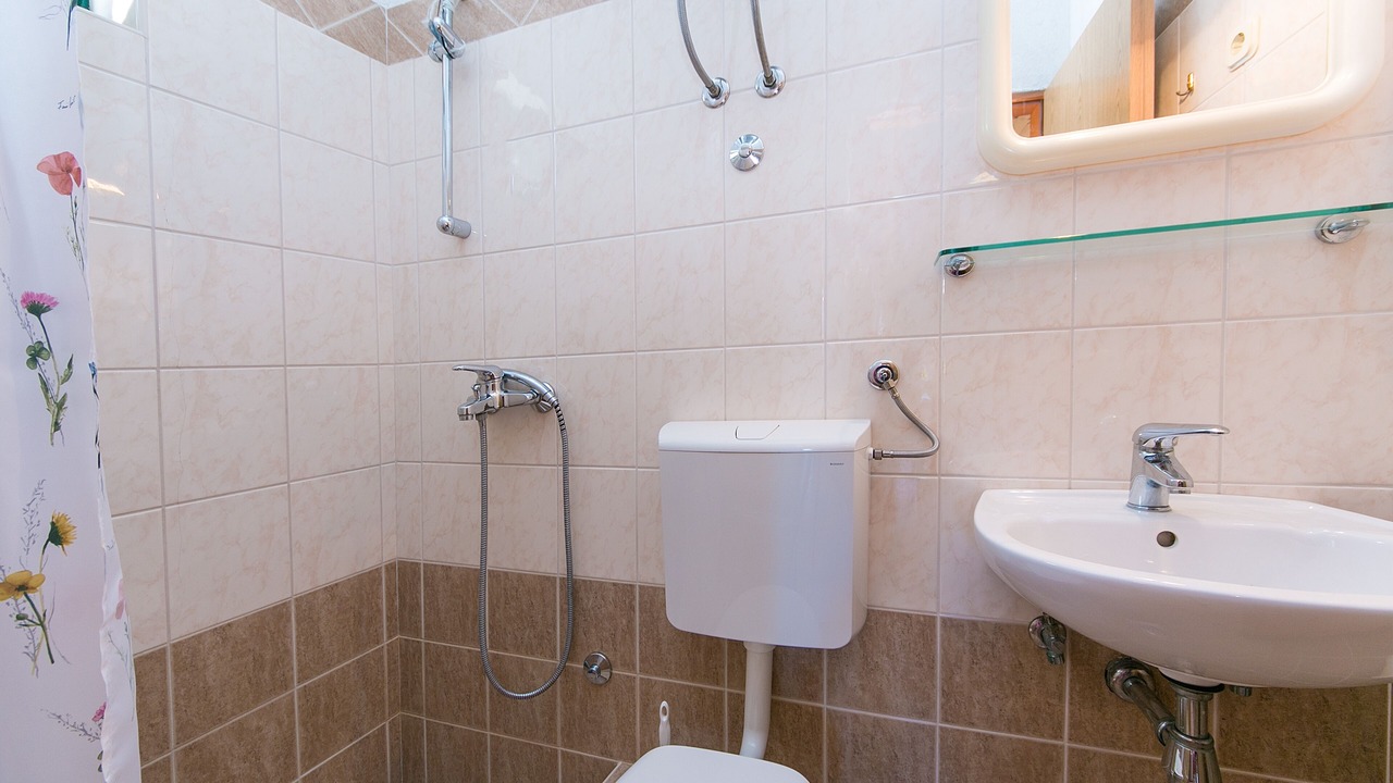 Photo of Bathroom in Blato