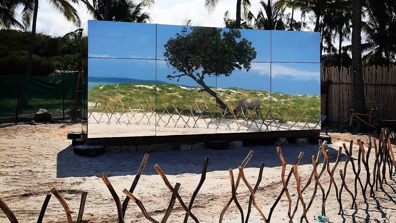 Photo of Others in Malindi Marine National Park