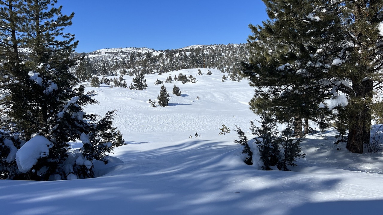 Photo of Others in Long Valley Junction