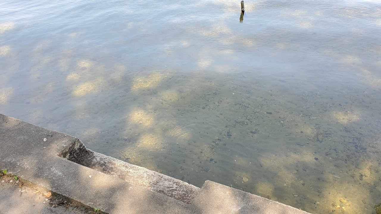 Photo of Others in Manitou Beach-Devils Lake