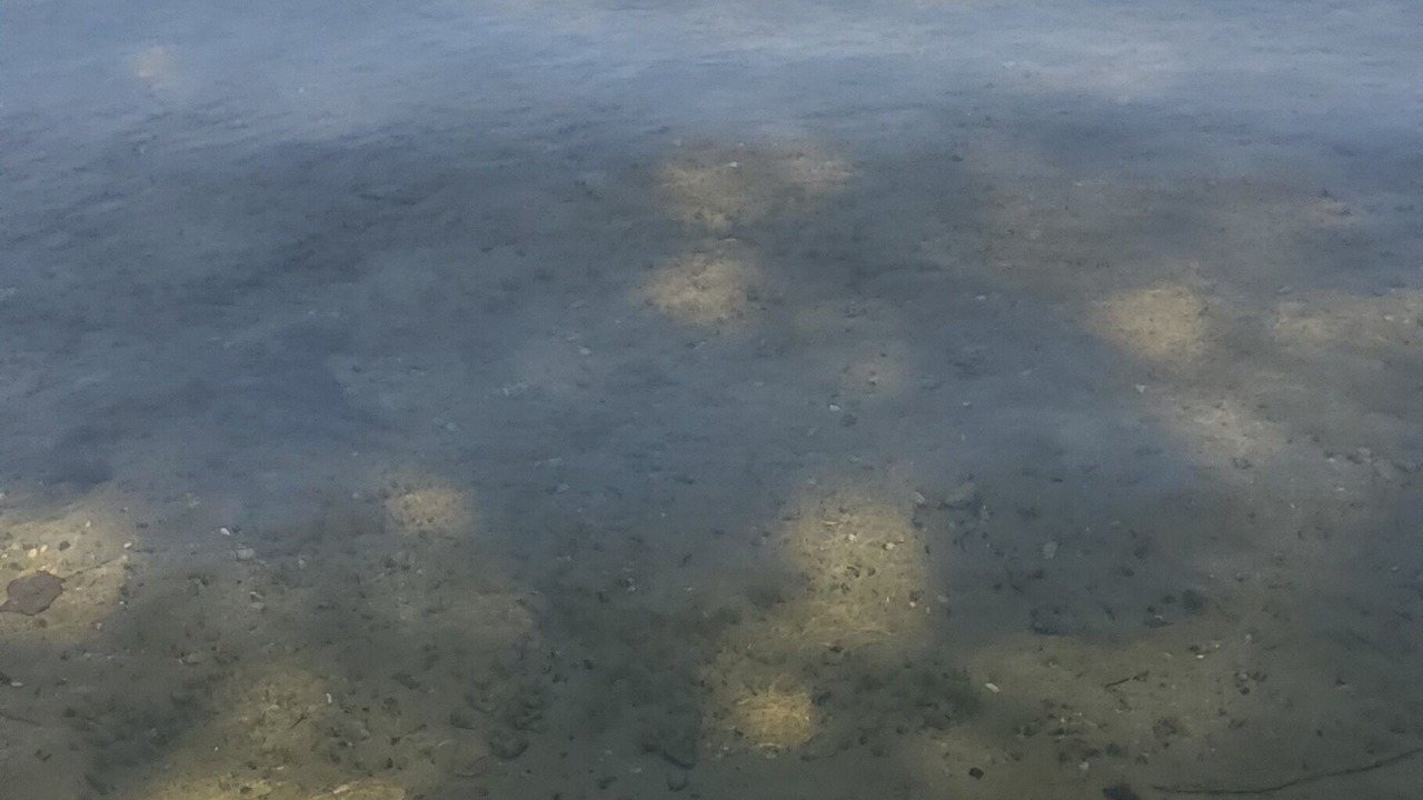 Photo of Others in Manitou Beach-Devils Lake